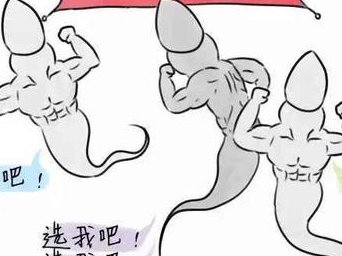 在安徽有试管资质的医院有几家？