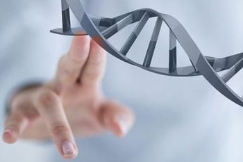 湛江市艾滋病做试管哪家医院好，费用多少钱？