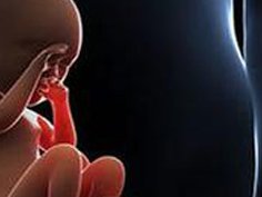 上海东方医院做试管多少钱？附成功率详情？